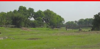 স্রোতস্বিনী নবগঙ্গা এখন মৃ’ত। ঝিনেদা টিভি। Jhenada Tv noboganga river, jhenaidah