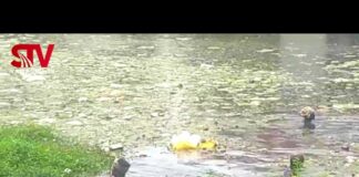 পুকুরে ফেলা গ্যাস বাবুর মোবাইল এখনও উদ্ধার হয়নি