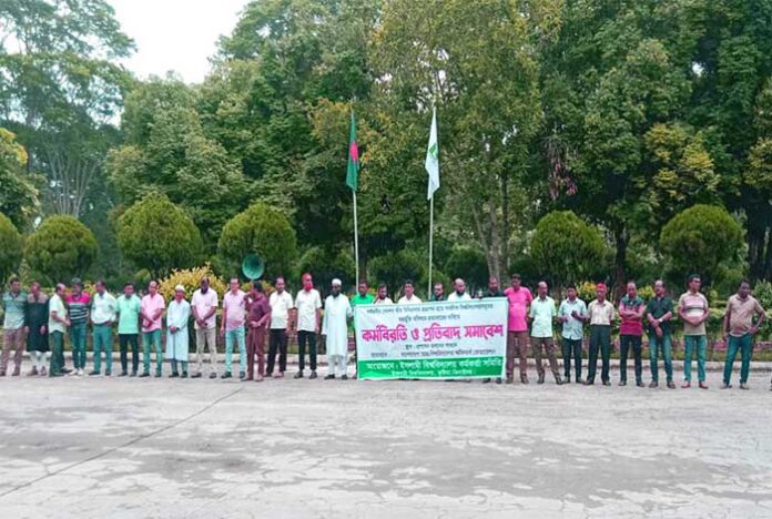 ৩ দফা দাবিতে কর্মবিরতিতে বিশ্ববিদ্যালয় শিক্ষকরা