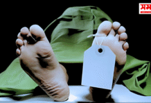 ঝিনাইদহে ফসলি মাঠ থেকে কৃষকের মরদেহ উদ্ধার, শরীরে ছিল আঘাতের চিহ্ন