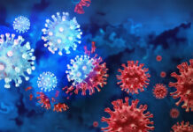 দেশে COVID-19 এর XBB সাবভ্যারিয়েন্ট শনাক্ত: সতর্ক থাকার আহ্বান বিশেষজ্ঞদের