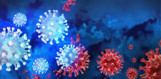 দেশে COVID-19 এর XBB সাবভ্যারিয়েন্ট শনাক্ত: সতর্ক থাকার আহ্বান বিশেষজ্ঞদের