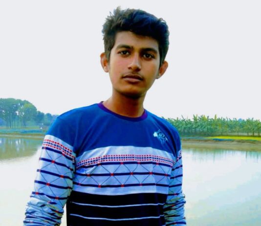 ডেঙ্গুর ভয়াবহতায় ঝিনাইদহের হরিণাকুন্ডুতে তৌকির নামের এক তরুণের মৃত্যু