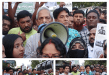 মাগুরা আড়পাড়া বাজারে ধানের শীষের প্রচারণা ও লিফলেট বিতরণ